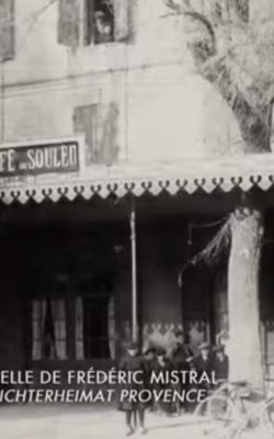 video-mistral
